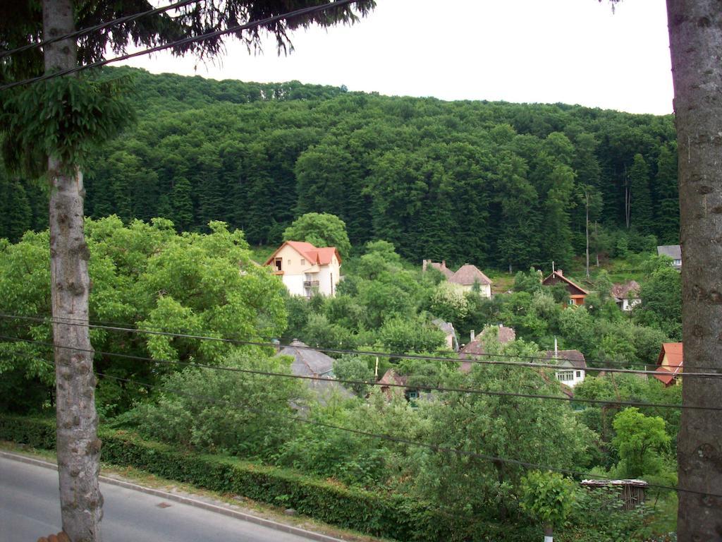 Cabana Bavaria Sovata Dış mekan fotoğraf